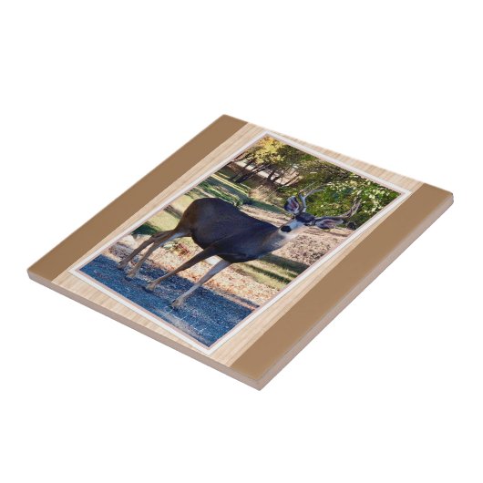 Hirsche Liebe Fliese (Seite)