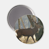 Hirsche Magnet (Vorderseite/Rückseite)