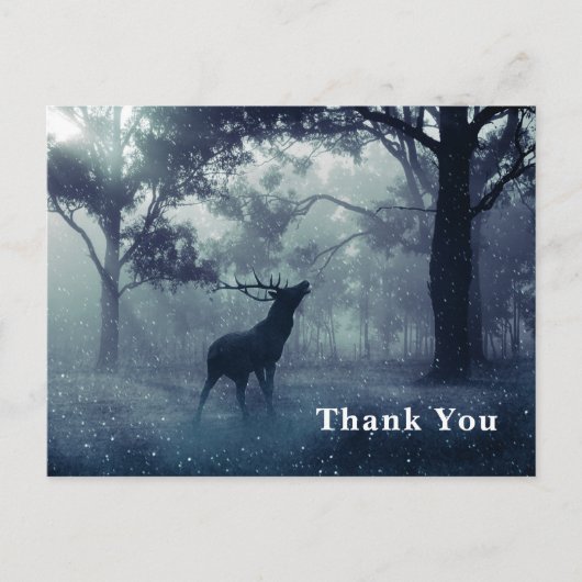 Hirsche mit Antlern im Schattenwald Vielen Dank Postkarte (Vorderseite)