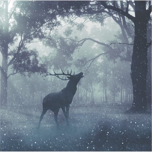 Hirsche mit Antlern in einem Schattenwald Aufkleber (Vorderseite)