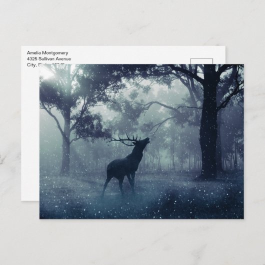 Hirsche mit Antlern in einem Schattenwald Postkarte (Vorne/Hinten)