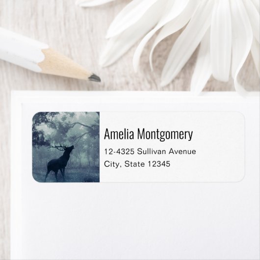 Hirsche mit Antlern in einer Schattenwaldadresse (Insitu)