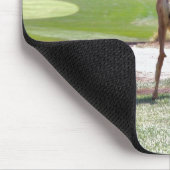 Hirsche mit Blick auf die Kamerafahrt Mousepad (Ecke)