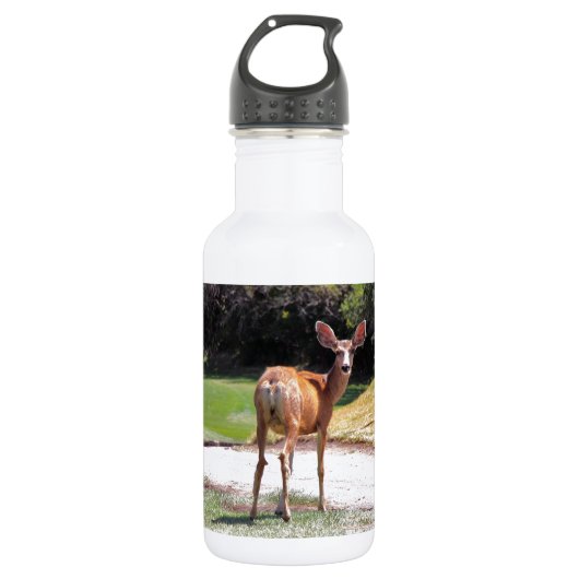 Hirsche mit Blick auf die Kamerafahrt Trinkflasche (Vorderseite)