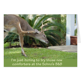 Hirsche mit Juckreiz