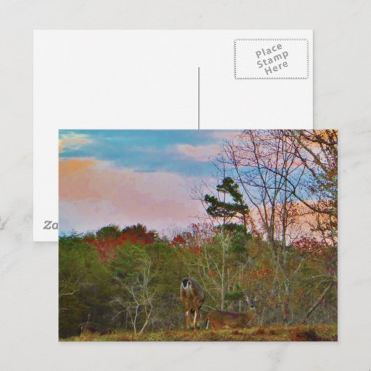 Hirsche mit rosa blauem Himmel Postkarte (Vorne/Hinten)