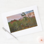 Hirsche mit rosa blauem Himmel Rechteckiger Aufkleber (Umschlag)