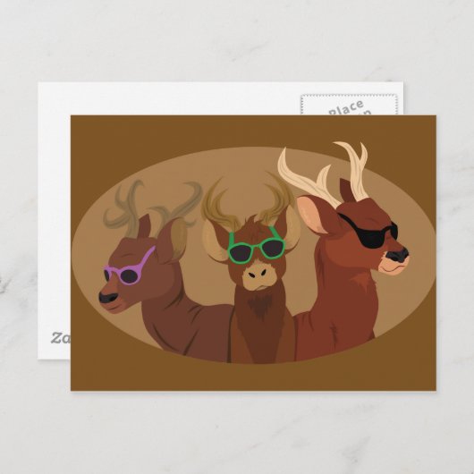 Hirsche mit Sonnenbrille Postkarte (Vorne/Hinten)