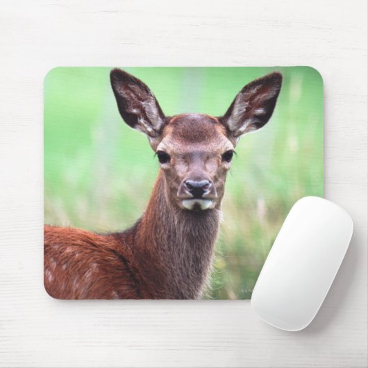 Hirsche Mousepad (Mit Mouse)