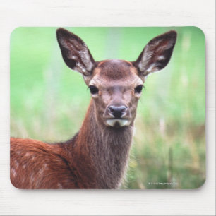 Hirsche Mousepad