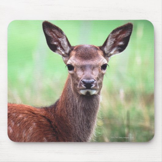 Hirsche Mousepad (Vorne)