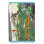 Hirsche Niedlich bis sie Blume Horizontal 4x6 Magn Magnet (Vertikal)