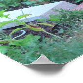 Hirsche, Ohio Poster (Ecke)