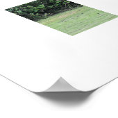 Hirsche Poster (Ecke)
