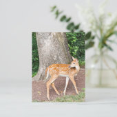 Hirsche Postkarte (Stehend Vorderseite)