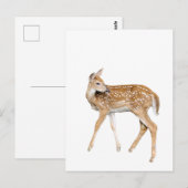 Hirsche Postkarte (Vorne/Hinten)