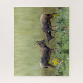 Hirsche Puzzle (Vertikal)