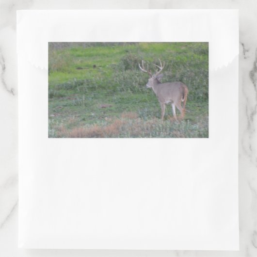 Hirsche Rechteckiger Aufkleber (Tasche)