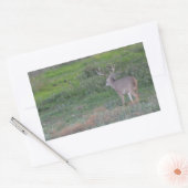 Hirsche Rechteckiger Aufkleber (Umschlag)