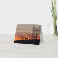 Hirsche Silhouette bei Sonnenuntergang leere notec