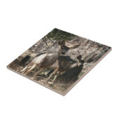 Hirsche Sprichwort hello Fliese (Seite)