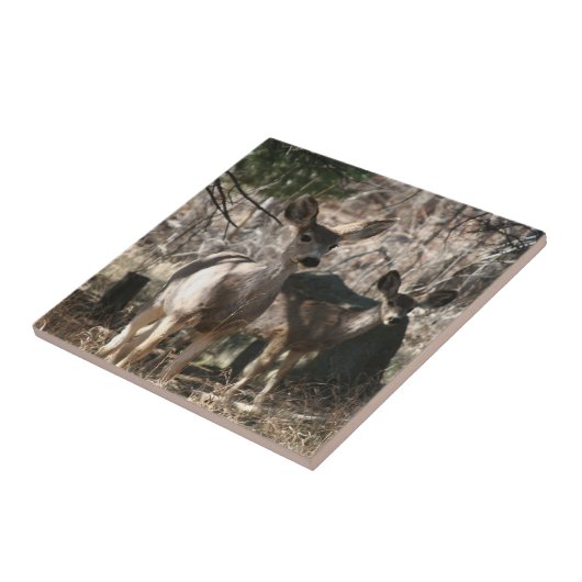 Hirsche Sprichwort hello Fliese (Seite)