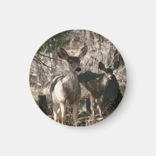Hirsche Sprichwort hello Magnet