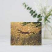 Hirsche springen durch das Feld Postkarte (Stehend Vorderseite)