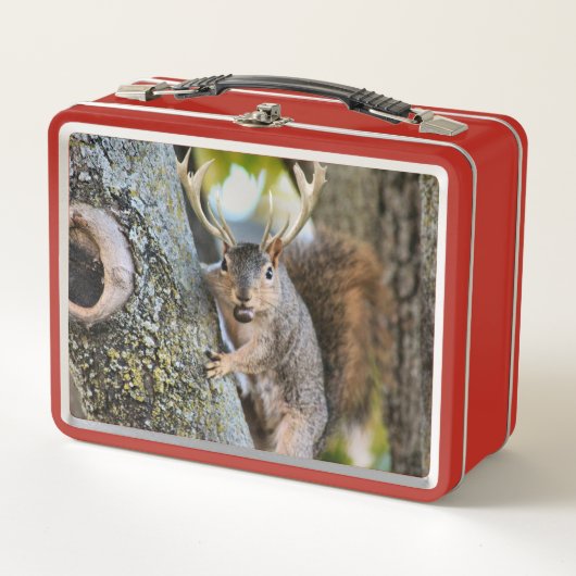 Hirsche Squirrelly Metall Lunch Box (Vorderseite)