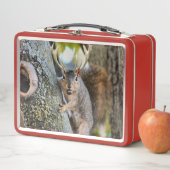 Hirsche Squirrelly Metall Lunch Box (Beispiel)