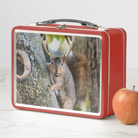 Hirsche Squirrelly Metall Lunch Box (Beispiel)