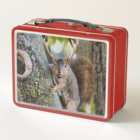 Hirsche Squirrelly Metall Lunch Box (Rückseite)