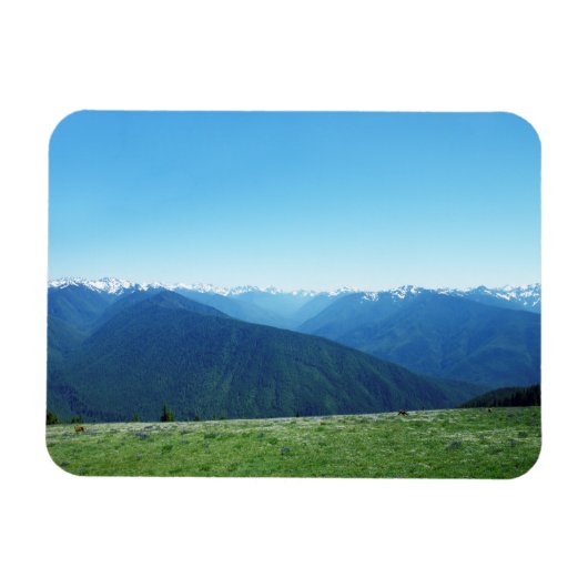 Hirsche und die Olympia Magnet (Horizontal)