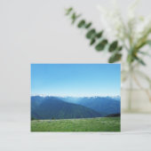 Hirsche und die Olympia Postkarte (Stehend Vorderseite)
