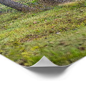 Hirsche und Eichhörnchen painterly Poster (Ecke)