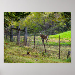 Hirsche und Eichhörnchen painterly Poster