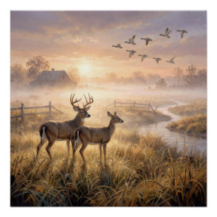 Hirsche und Enten im Morgennebel Poster