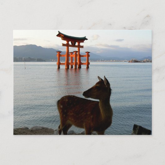 Hirsche und große rote Tore in Miyajima in Japan Postkarte (Vorderseite)