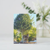 Hirsche und Holly-Beerenbaum im Schnee Postkarte (Stehend Vorderseite)