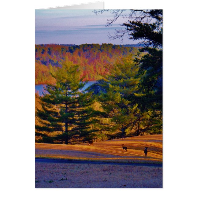 Hirsche und Muttersee (Vorne)