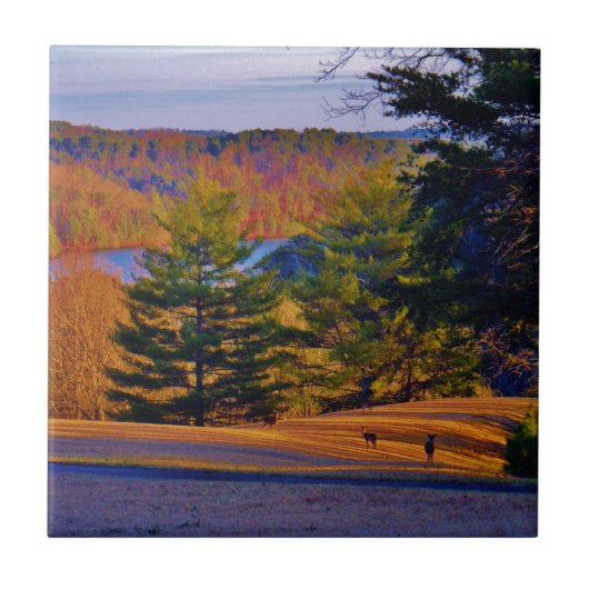 Hirsche und Muttersee Fliese (Vorderseite)