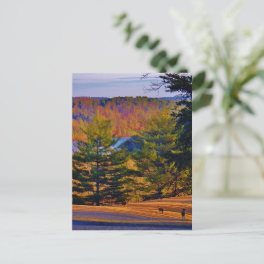 Hirsche und Muttersee Postkarte (Stehend Vorderseite)