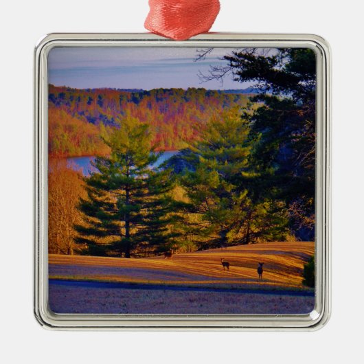 Hirsche und Muttersee Silbernes Ornament (Vorne)