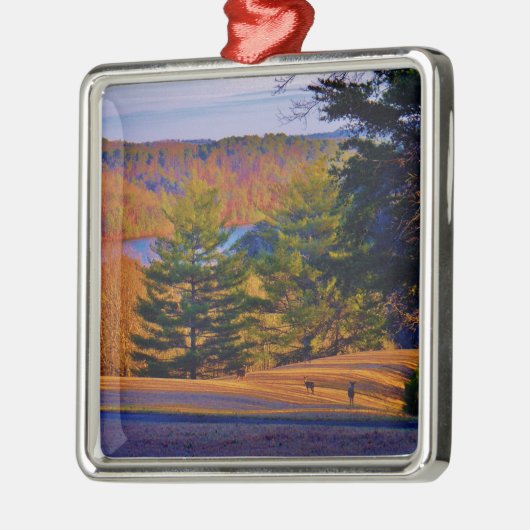 Hirsche und Muttersee Silbernes Ornament (Links)