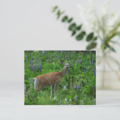 Hirsche unter den Lupinen Postkarte (Stehend Vorderseite)