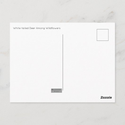 Hirsche unter Wildblumen Postkarte (Rückseite)