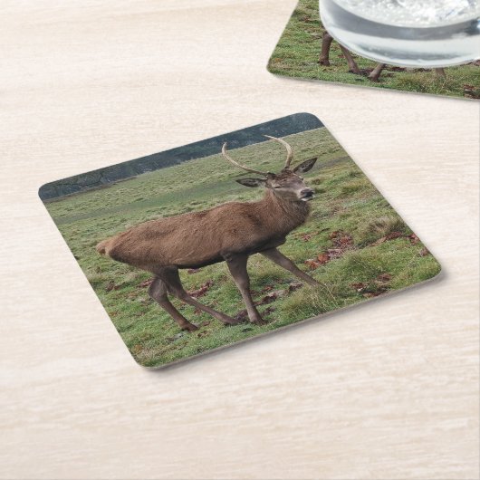 Hirsche Untersetzer (angewinkelt)