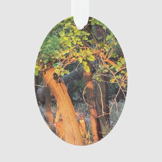 Hirsche, versteckt hinter Bäumen Ornament (Vorderseite)