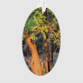 Hirsche, versteckt hinter Bäumen Ornament (Vorderseite)
