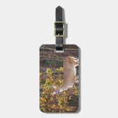 Hirsche vor dem gelben Herbstbaum Gepäckanhänger (Vorderseite vertikal)
